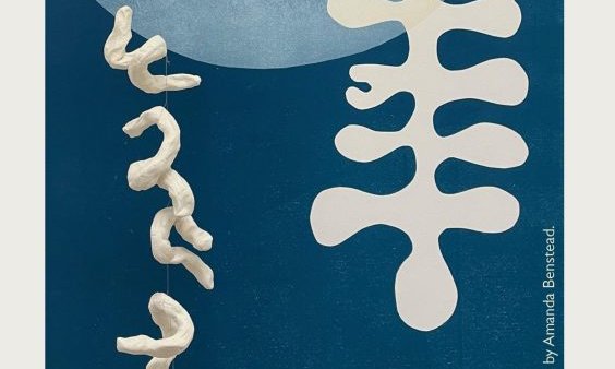 members-2026-updated-564x800