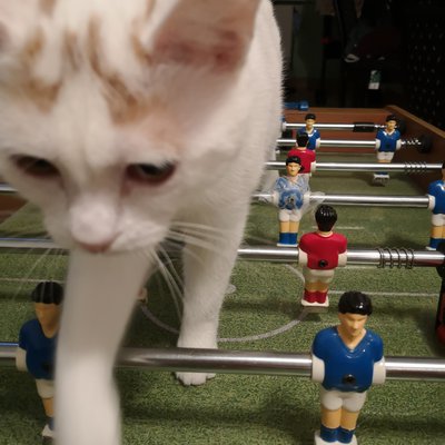 Andreea Maria Oncescu: A redoubtable foosball opponent