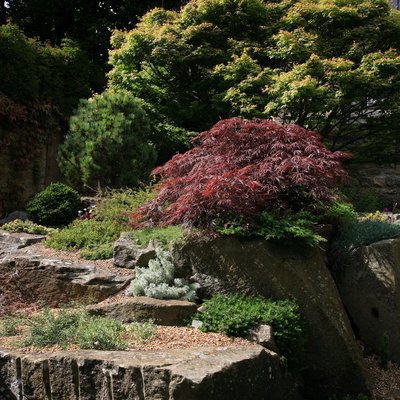 garden and rockery