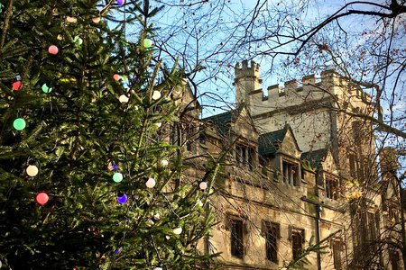 St John's Christmas tree