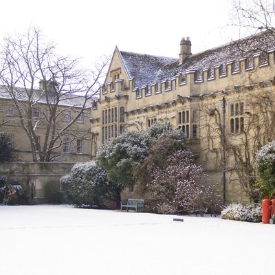 garden in winter